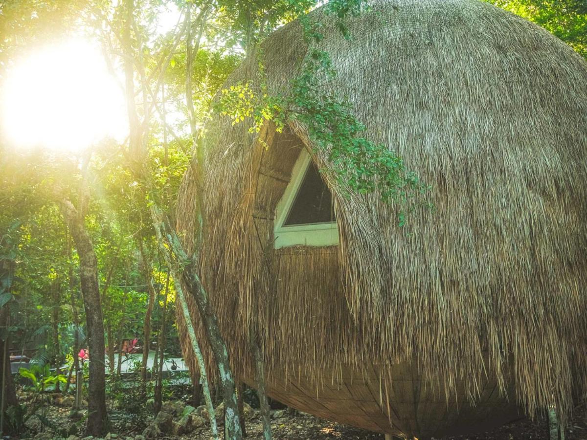 Casa Del Arbol At Villa Duendes Akumal Exteriér fotografie