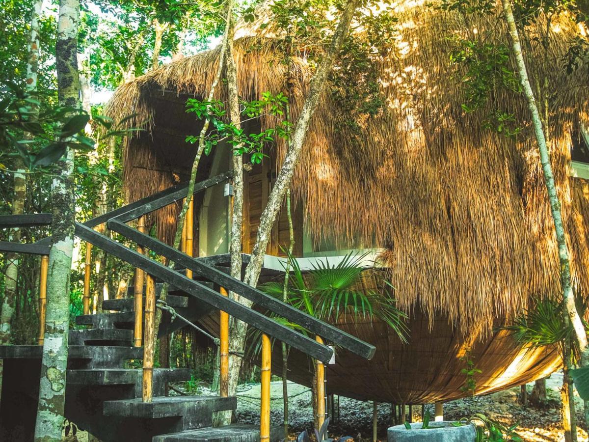 Casa Del Arbol At Villa Duendes Akumal Exteriér fotografie