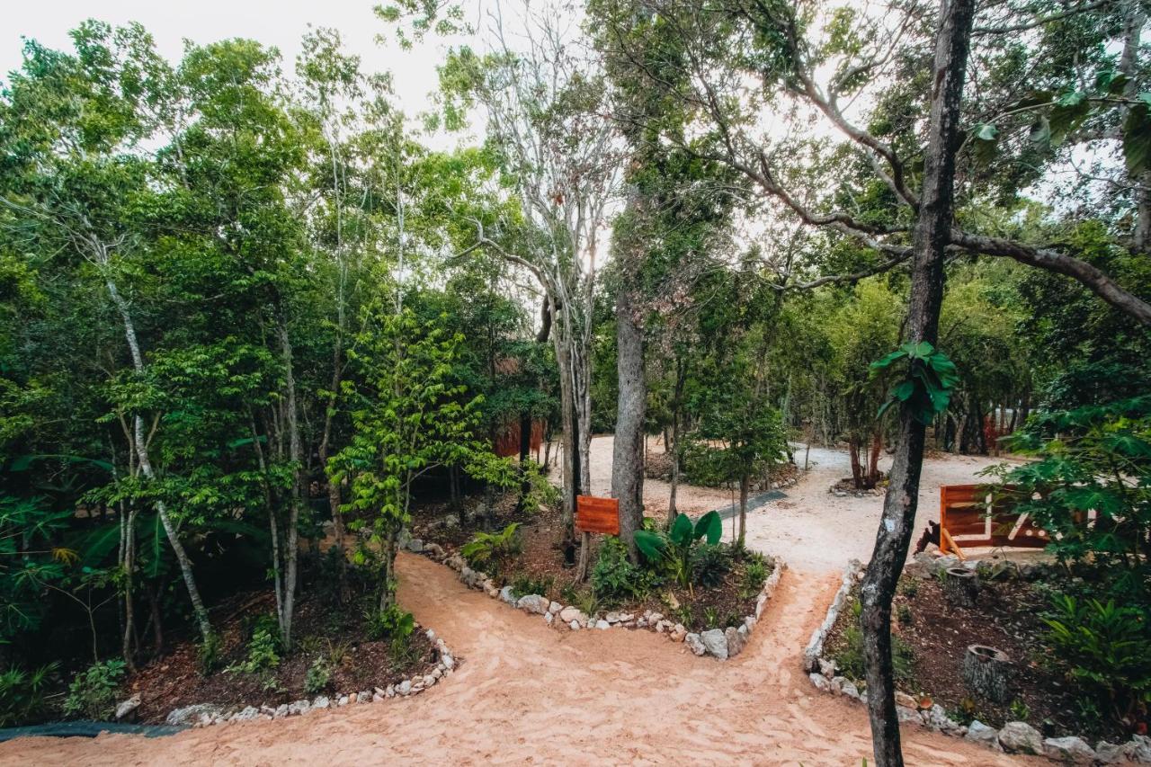 Casa Del Arbol At Villa Duendes Akumal Exteriér fotografie