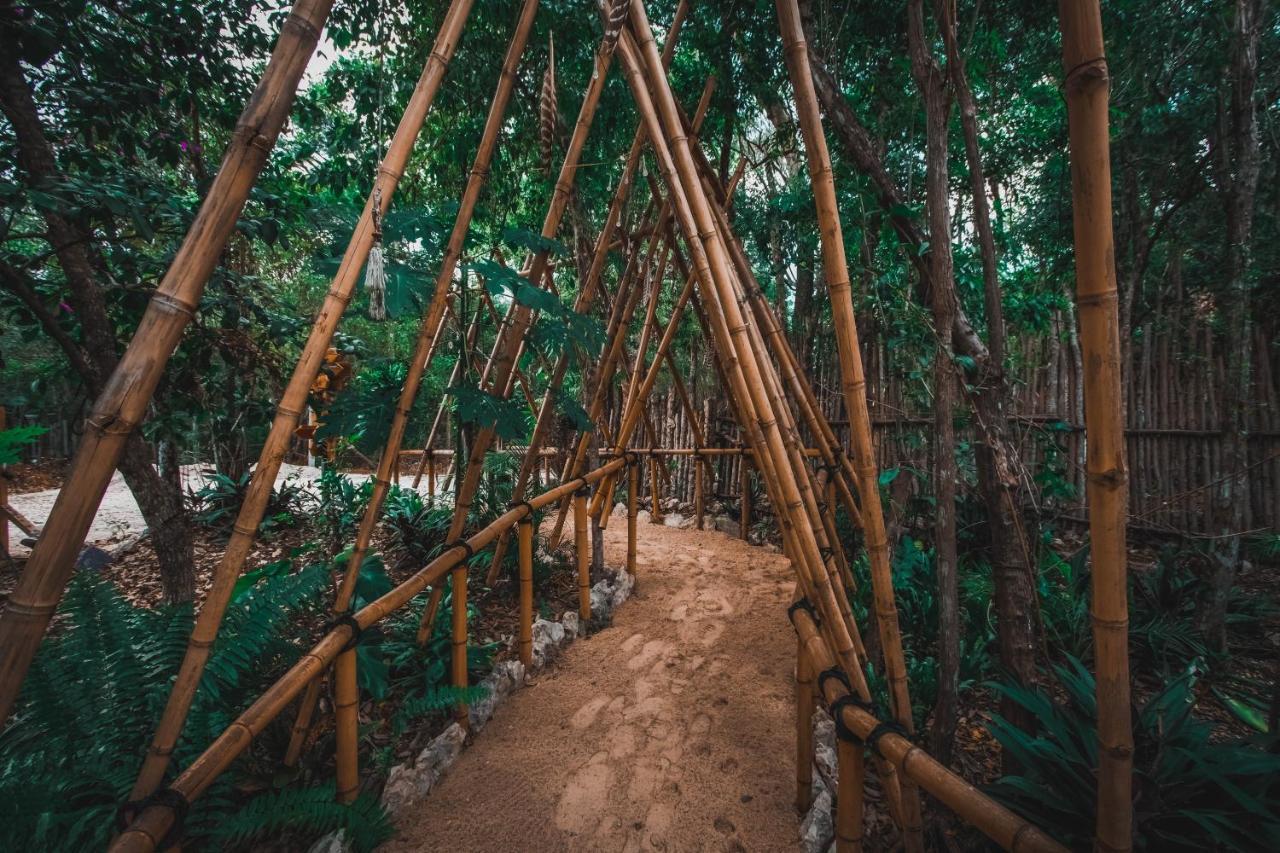 Casa Del Arbol At Villa Duendes Akumal Exteriér fotografie